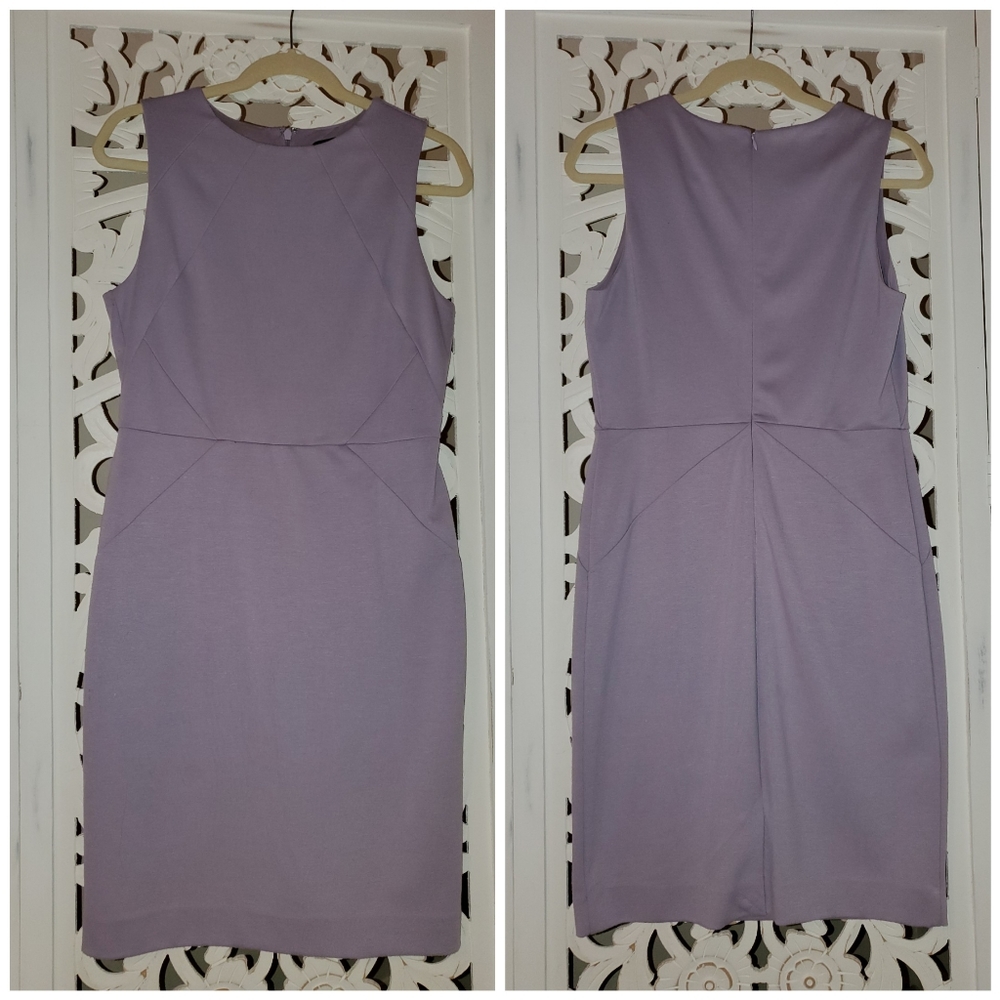 The Limited Lavender Dress | Size 6
